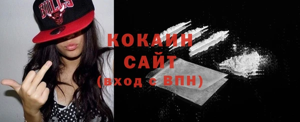 ПСИЛОЦИБИНОВЫЕ ГРИБЫ Балабаново