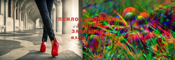 2c-b Баксан