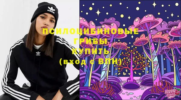 ПСИЛОЦИБИНОВЫЕ ГРИБЫ Балабаново